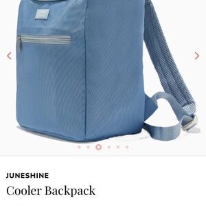 Sky Blue Cooler Backpack